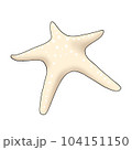 starfish 104151150