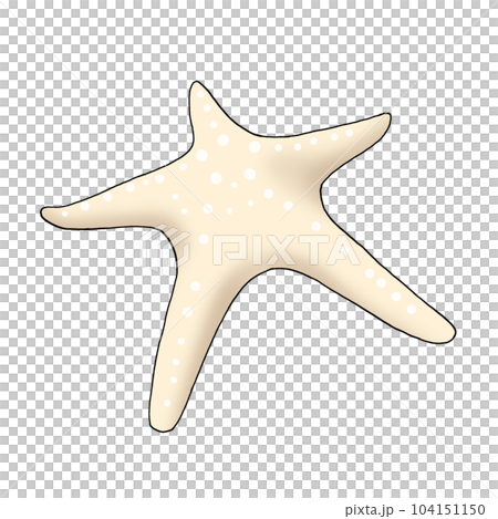 starfish starfish 104151150