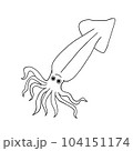 Squid 104151174