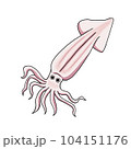 Squid 104151176
