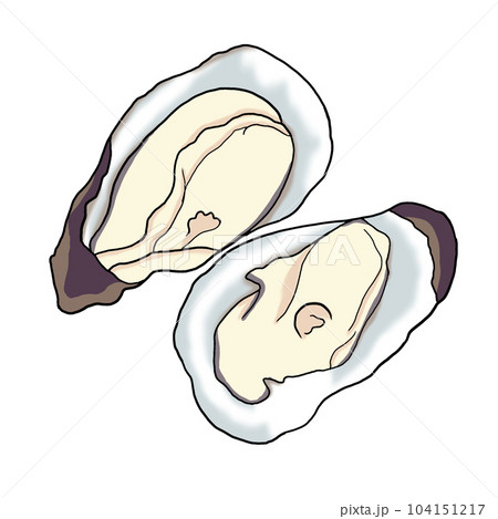 oyster oyster 104151217