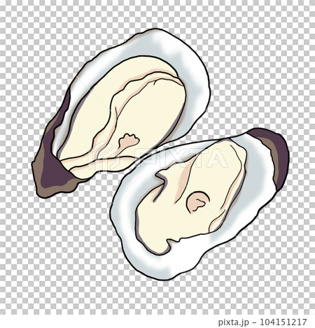 oyster oyster 104151217