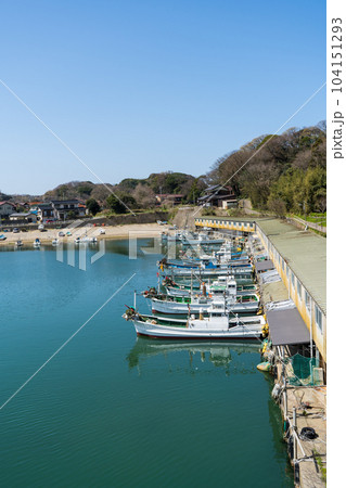 晴れの青空と港に停泊する多くの漁船の風景|橋立漁港|石川県加賀市 晴れの青空と港に停泊する多くの漁船の風景|橋立漁港|石川県加賀市 104151293