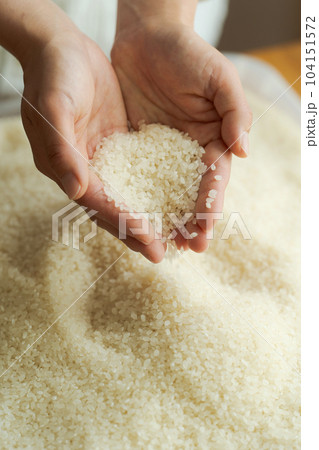 白米をすくう女性の手元写真 白米をすくう女性の手元写真 104151572