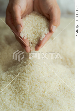 白米をすくう女性の手元写真 104151579