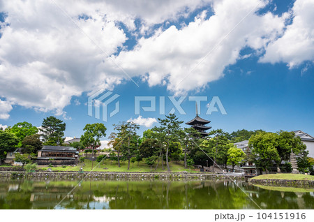 猿沢池と興福寺五重塔 猿沢池と興福寺五重塔 104151916