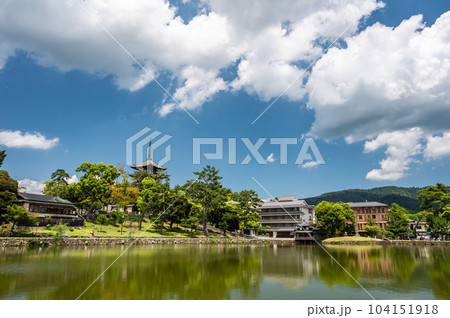 猿沢池と興福寺五重塔 104151918