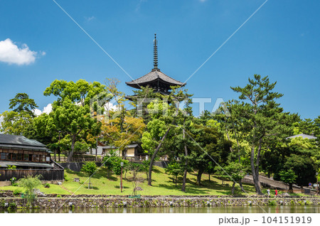 猿沢池と興福寺五重塔 104151919