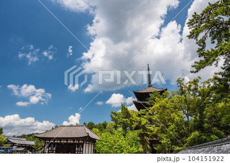 興福寺五重塔と東金堂　奈良県 104151922