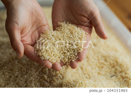玄米と女性の手元写真 104151965