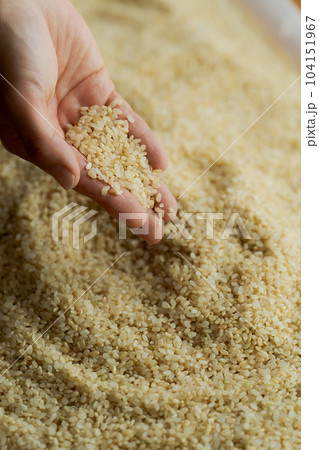 玄米と女性の手元写真 104151967