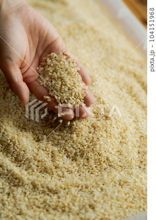 玄米と女性の手元写真 104151968