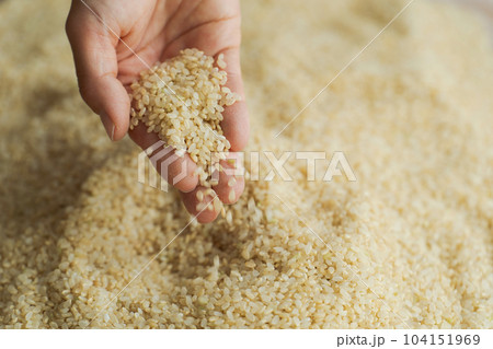玄米と女性の手元写真 104151969