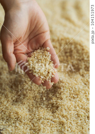 玄米と女性の手元写真 104151973