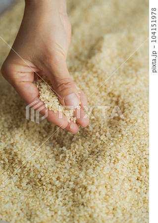 玄米と女性の手元写真 104151978