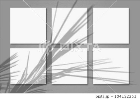 Natural light casts shadows from the palm branch on 6 square sheets of white textured paper lying on grey textured background. Mockup Natural light casts shadows from the palm branch on 6 square sheets of white textured paper lying on grey textured background. Mockup 104152253