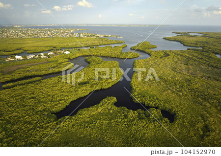 Aerial view of residential suburbs with private homes located near wildlife wetlands with green vegetation on sea shore. Living close to nature concept 104152970