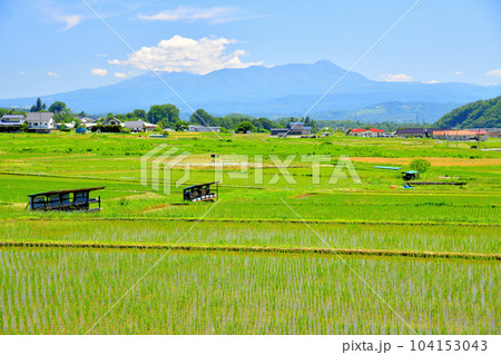 上田市真田より蓼科山方面を望む(長野県上田市)【2023.6】 104153043