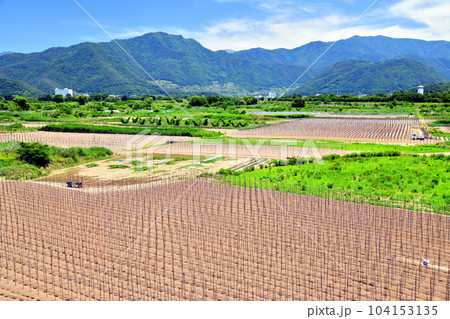 赤坂橋／千曲川より松代／皆神山方面を望む(長野県長野市)【2023.6】 104153135