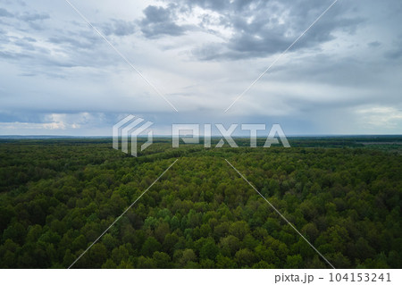 Aerial view of dark green lush forest with dense trees canopies in summer Aerial view of dark green lush forest with dense trees canopies in summer 104153241