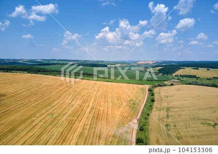 Aerial view of cargo truck driving on dirt road between agricultural wheat fields making lot of dust. Transportation of grain after being harvested by combine harvester during harvesting season 104153306