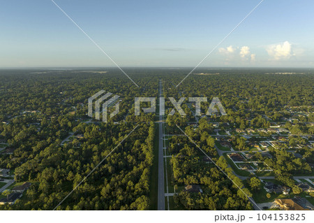 Aerial view of american small town in Florida with private homes between green palm trees and suburban streets in quiet residential area 104153825