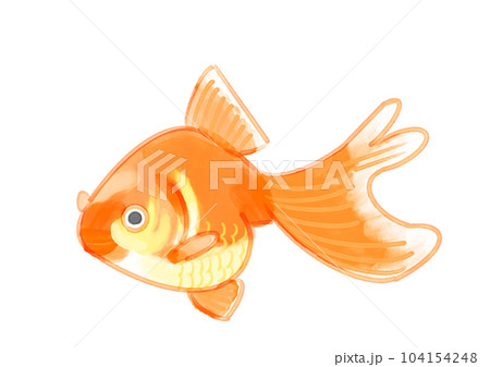 手書き風金魚(オレンジ) 手書き風金魚(オレンジ) 104154248