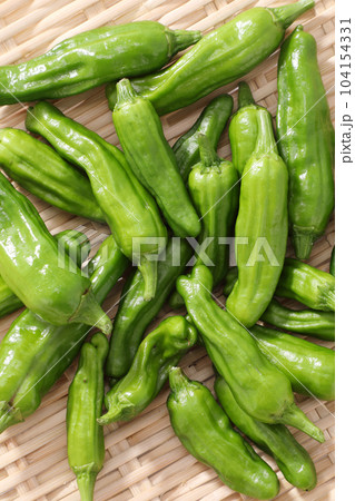 ししとう ししとう 104154331