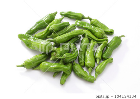 ししとう  104154334