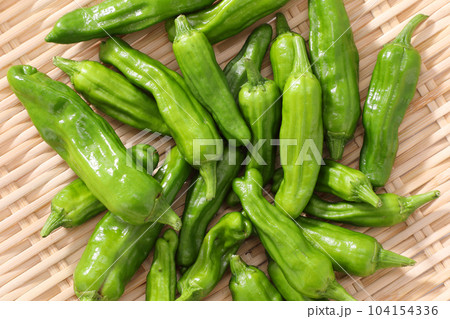 ししとう  104154336