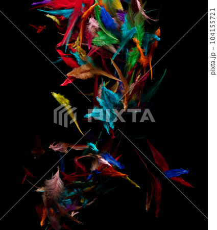 Many color Feather fly fall in Air over black background isolated. Puffy Fluffy soft feathers as purity smooth like dream floating dove in sky. Angle flying from heaven, photo motion studio lighting 104155721