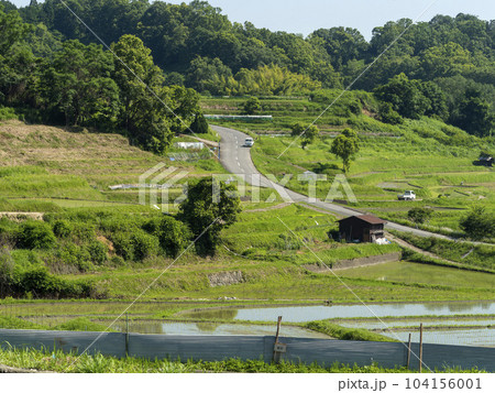 明日香村稲渕の棚田と道路の風景 104156001