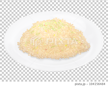 炒飯放在盤子裡 現實例證 104156484