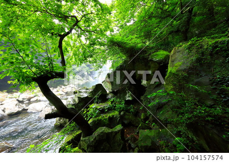 Beautiful touristic scenery of Cheonjeyeon Waterfall, a famous tourist attraction in Jeju Island. 104157574