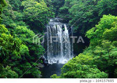 Beautiful touristic scenery of Cheonjeyeon Waterfall, a famous tourist attraction in Jeju Island. 104157605