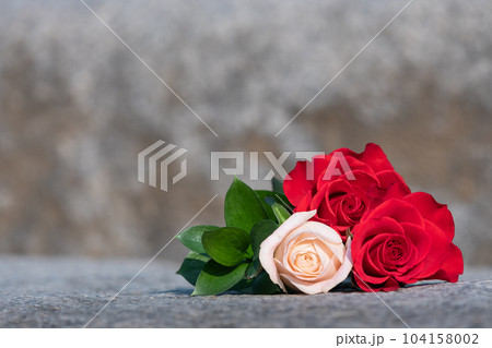 Red and ivory roses lying on the floor. Red and ivory roses lying on the floor. 104158002