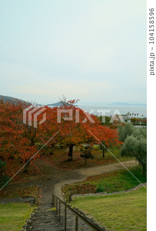 オリーブ公園_小豆島 オリーブ公園_小豆島 104158596