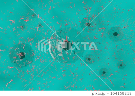 抗体を産生する形質細胞のイメージ 104159215