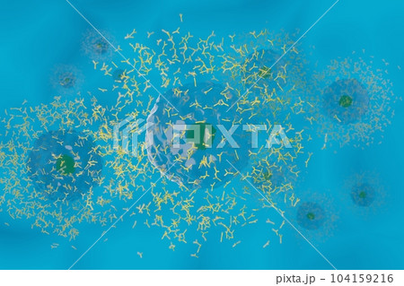 抗体を産生する形質細胞のイメージ 抗体を産生する形質細胞のイメージ 104159216
