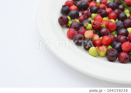 白い皿の上のジューンベリーの実 104159238