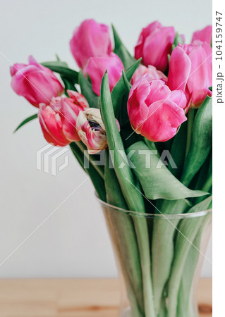 Close up tulips bouquet in a vase over white background 8 March greeting 104159747