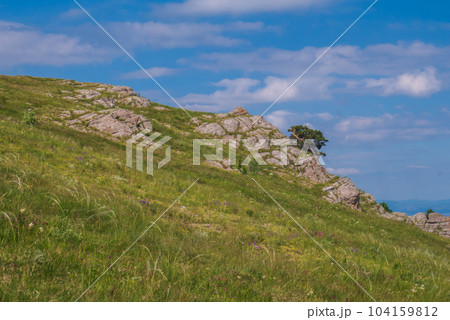 A tree against the background of a beautiful blue sky and mountains. A tree against the background of a beautiful blue sky and mountains. 104159812