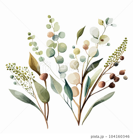 Watercolor eucalyptus bouquet illustration. Hand-painted branches of sage green 104160346