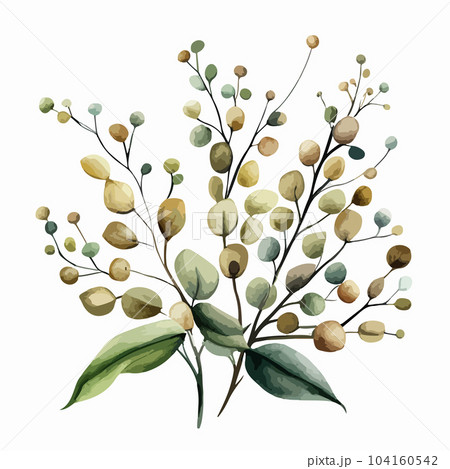 Watercolor eucalyptus bouquet illustration. Hand-painted branches of sage green 104160542