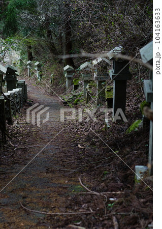土肥椙山巌窟　しとどの窟 104163633