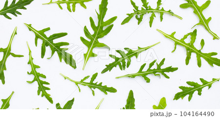 Fresh green rocket salad on white background. Fresh green rocket salad on white background. 104164490