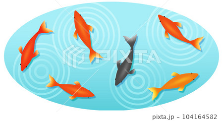 金魚　イラスト素材 104164582