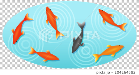 Goldfish illustration material Goldfish illustration material 104164582