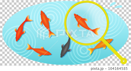Goldfish scooping illustration material Goldfish scooping illustration material 104164585