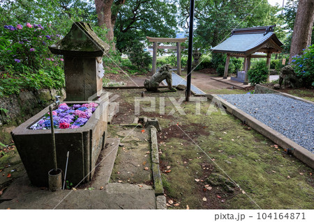 稲荷神社(鹿児島県最古の稲荷神社) 花手水 稲荷神社(鹿児島県最古の稲荷神社) 花手水 104164871